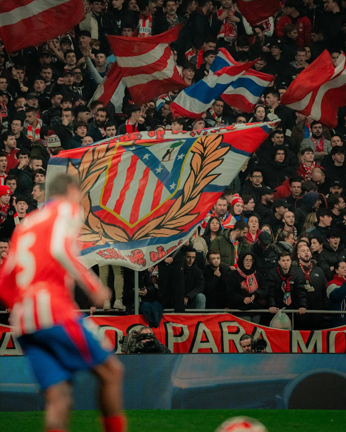 媒体人：造谣视频或是某些饭圈或水军挑拨离间 想干扰女篮备战（媒体人称：不实视频或由饭圈与水军操纵，意在干扰女篮备战）